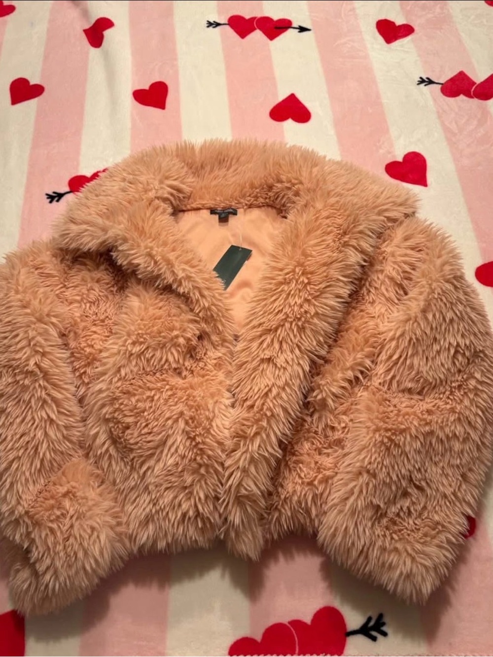 Plush Faux-Fur Jacket - Blush Pink